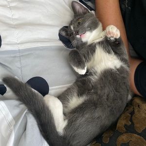 Meet your Posher, Dakota